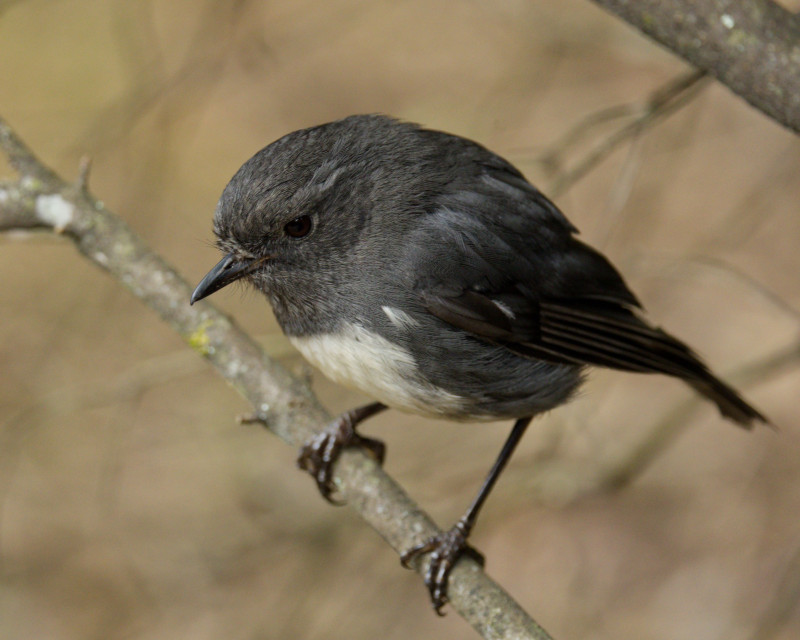 R1 13180